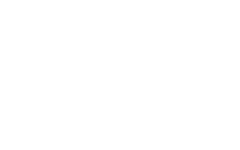 Flywus Studios